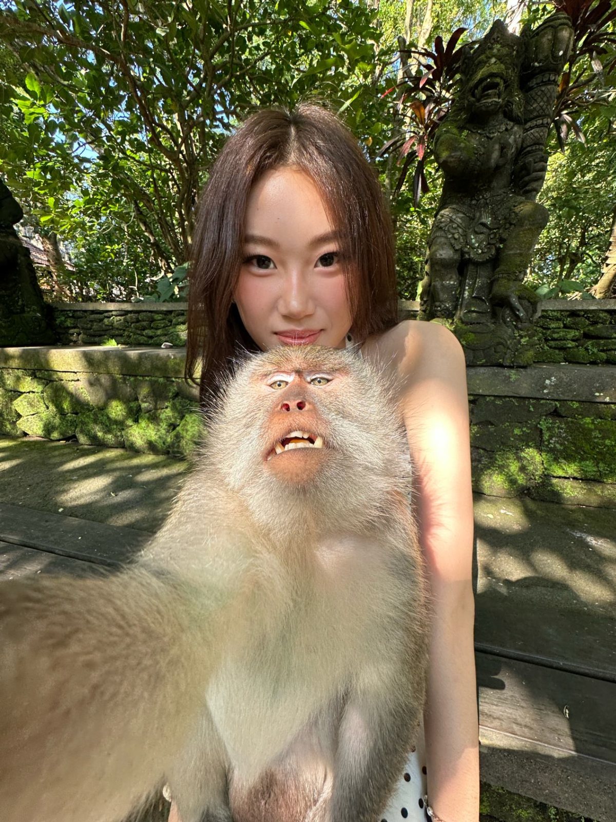 A long-tailed macaque sitting on a shoulder in Ubud